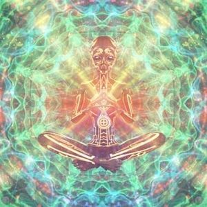 Meet your Posher, George